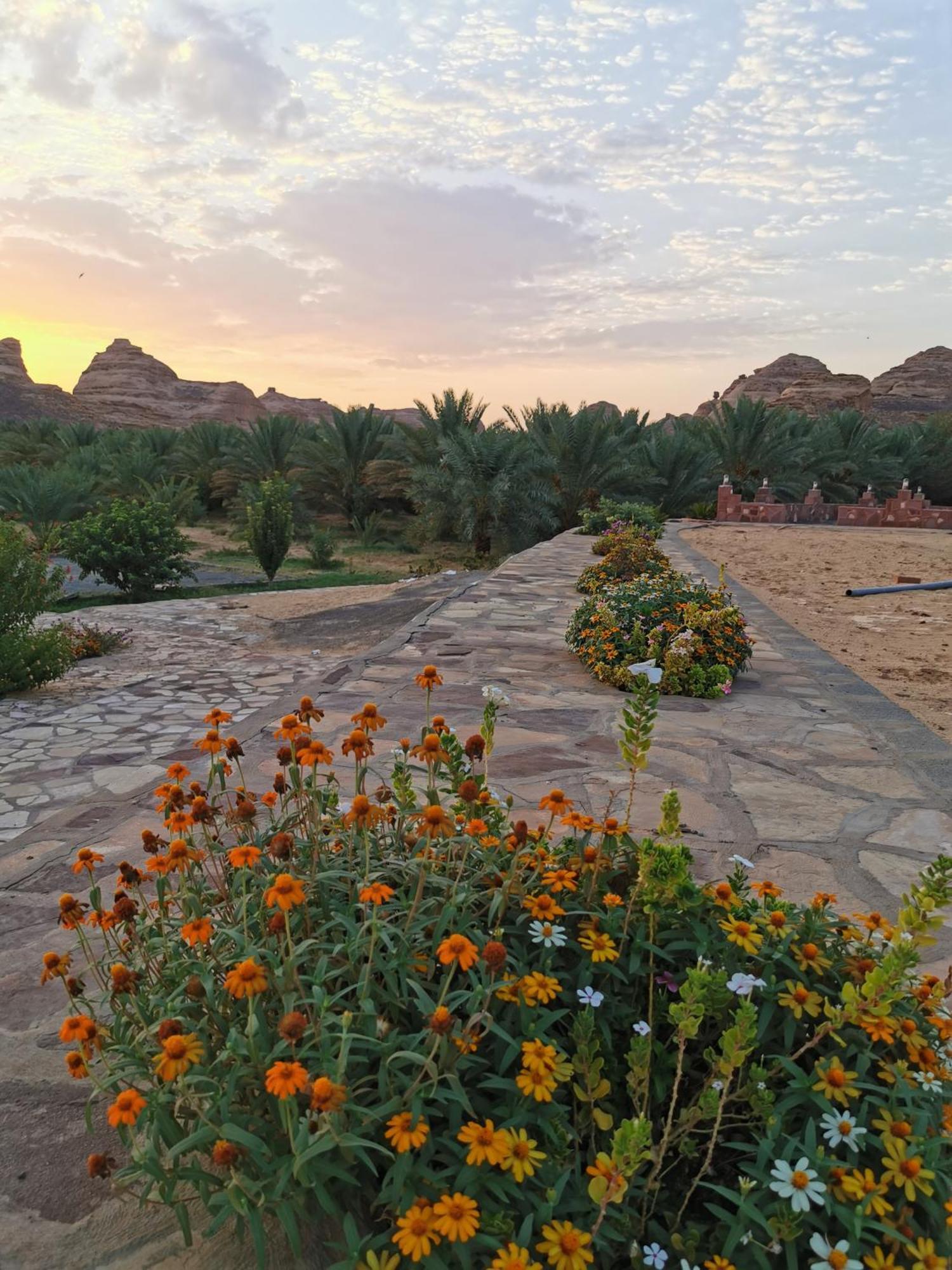 Naseem Country House Al Ula Exterior foto